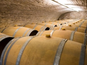 Croatian rural tourism Brzica winery