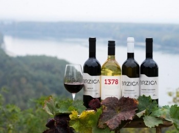 Croatian rural tourism Brzica winery