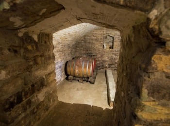 Croatian rural tourism Magistra Wine