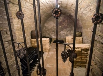 Croatian rural tourism Winery Svijetli dvori