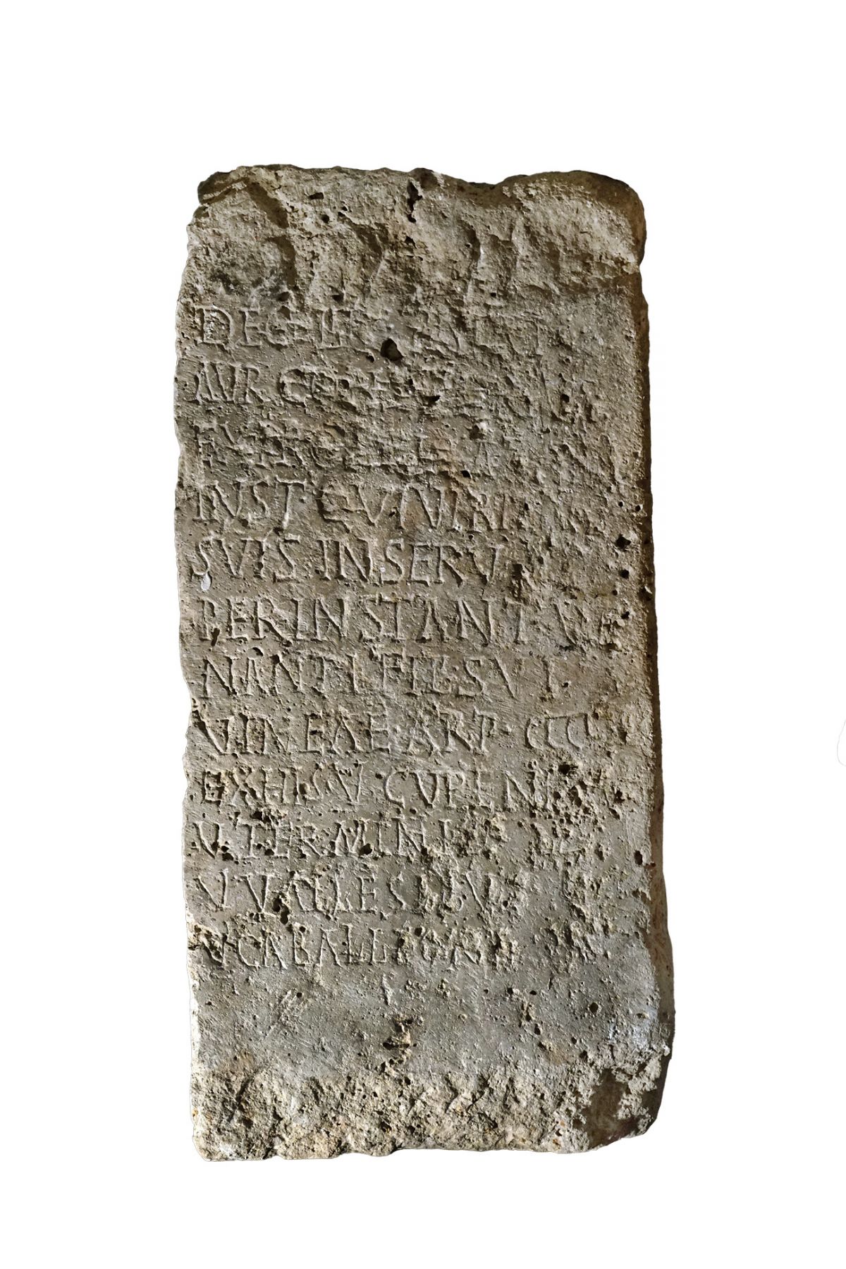 Archeological discoveries as proof of viticulture and winemaking in Slavonija and Baranja