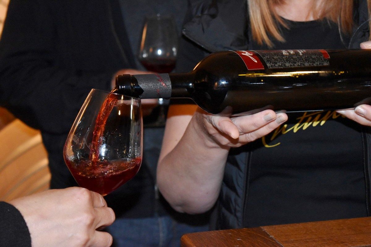 U zagrljaju Dunava, vinove loze i žene - Vinarija Antunović
