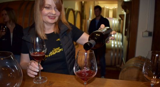 U zagrljaju Dunava, vinove loze i žene - Vinarija Antunović, Hrvatski ruralni turizam