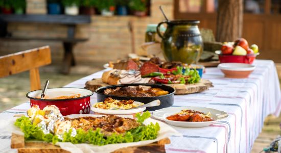 Baranjska kuća , Hrvatski ruralni turizam
