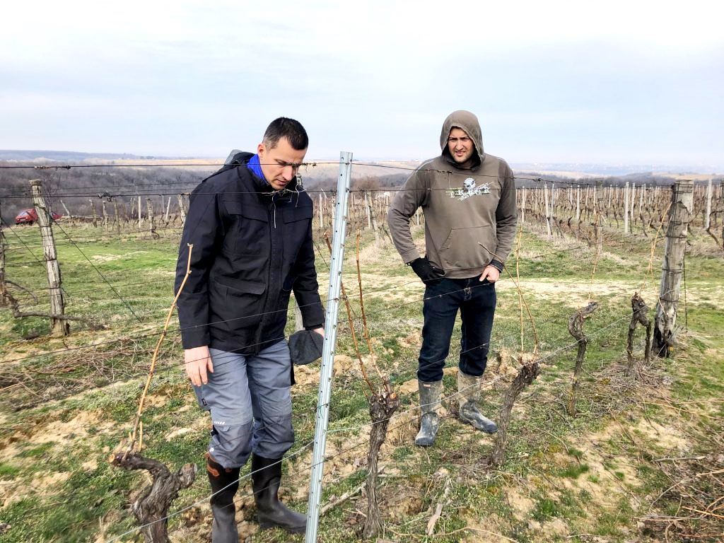 Buhač je svojim roséom zbližio tisuće zaljubljenih, sad je red da i njega konačno skrasimo