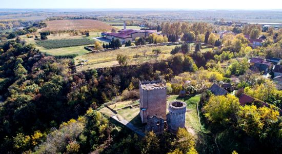 Erdut castle, Croatian rural tourism
