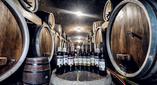 Iločki podrumi - vinarija iz istočne Hrvatske s dugom poviješću, Hrvatski ruralni turizam