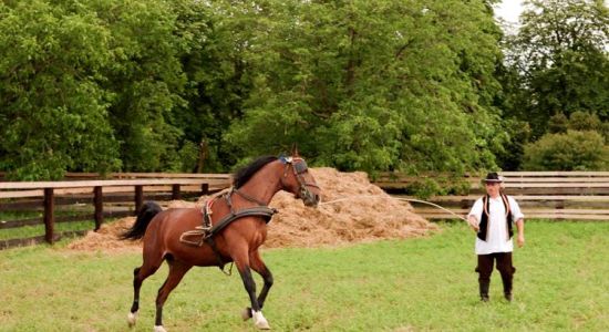 Ivica i Marica – na jelovniku samo domaće, Hrvatski ruralni turizam
