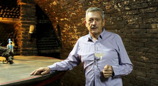 Mihalj Gerstmajer: 50 godina stari vinogradi i dalje služe četvrtoj generaciji vinara, Hrvatski ruralni turizam