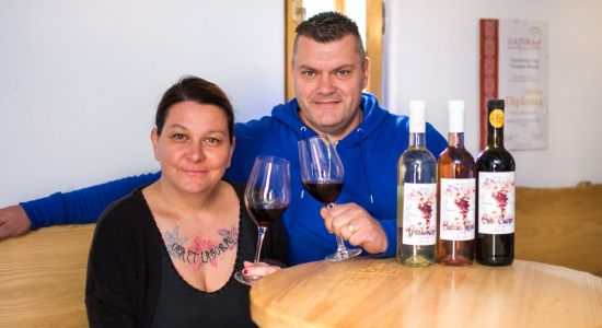 Family wine cellar Zajec, Croatian rural tourism