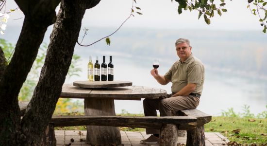 Brzica winery, Croatian rural tourism