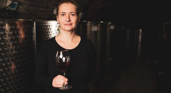 Jurković winery, Croatian rural tourism
