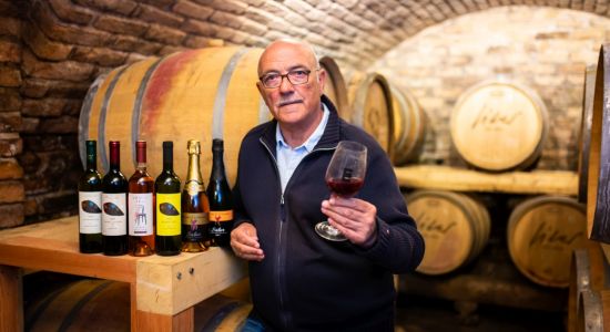 Siber winery, Croatian rural tourism