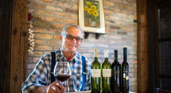 Suza Vallis winery , Croatian rural tourism