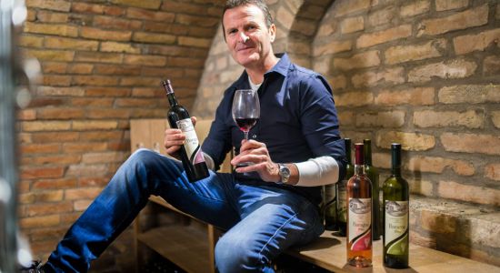 Underground Wines, Croatian rural tourism