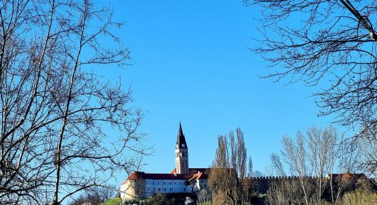 Ilok, Hrvatski ruralni turizam