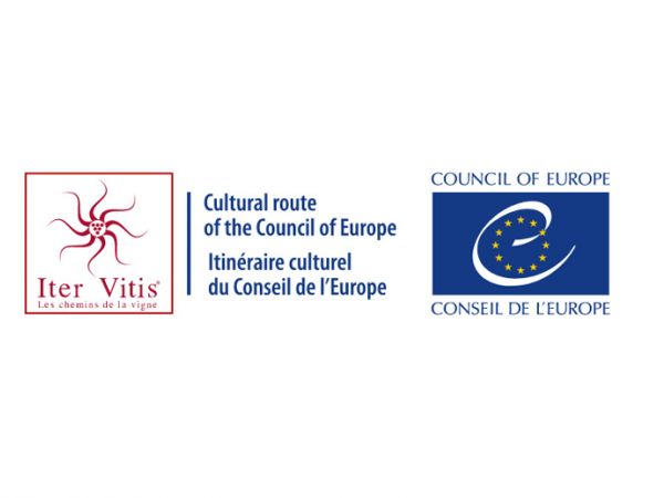 Iter vitis